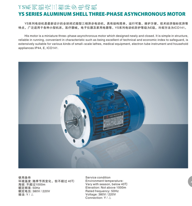 立式異步電動(dòng)機(jī)
