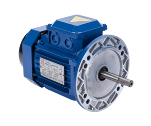 立式三相交流異步電動機