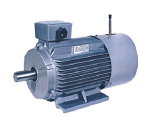 Y2EJ電磁制動三相異步電動機